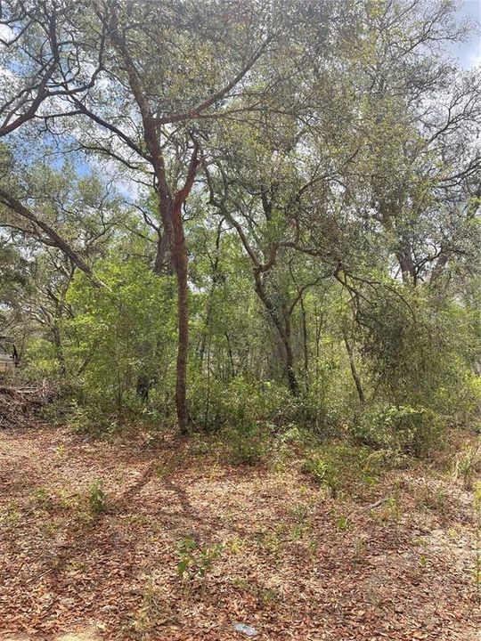 For Sale: $25,000 (0.22 acres)