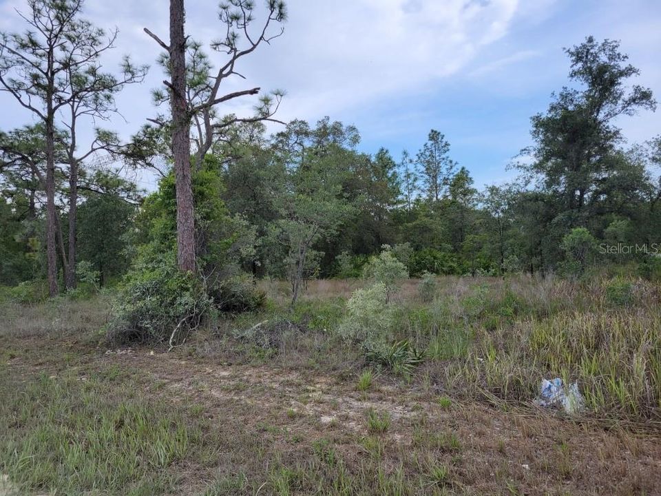 Recently Sold: $37,500 (0.64 acres)