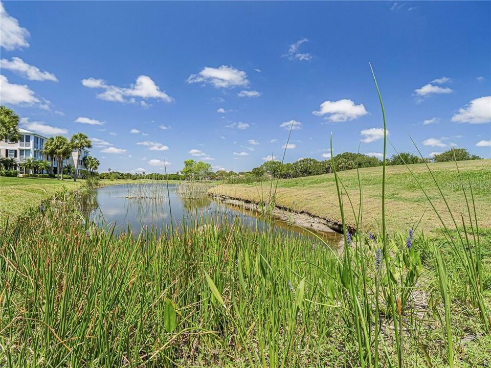 На продажу: $395,000 (2 спален, 2 ванн, 1400 Квадратных фут)