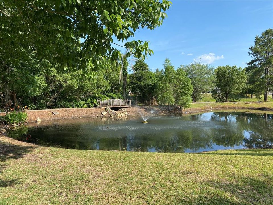 En Venta: $50,000 (0.06 acres)