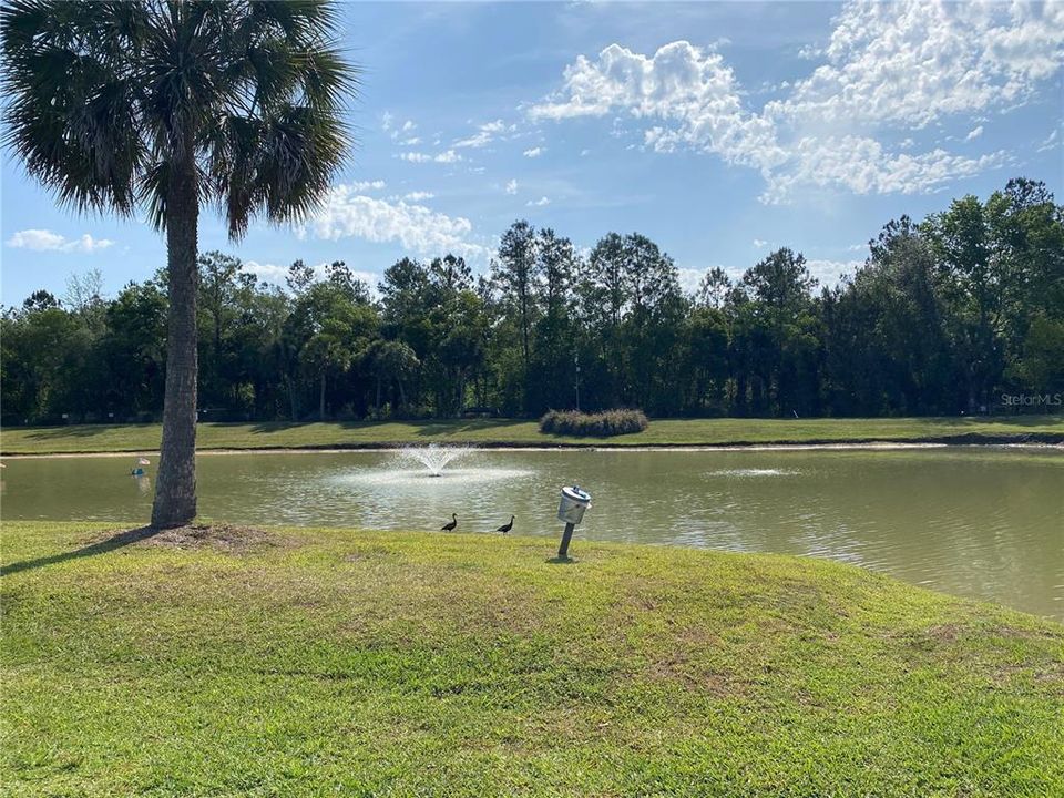 En Venta: $50,000 (0.06 acres)