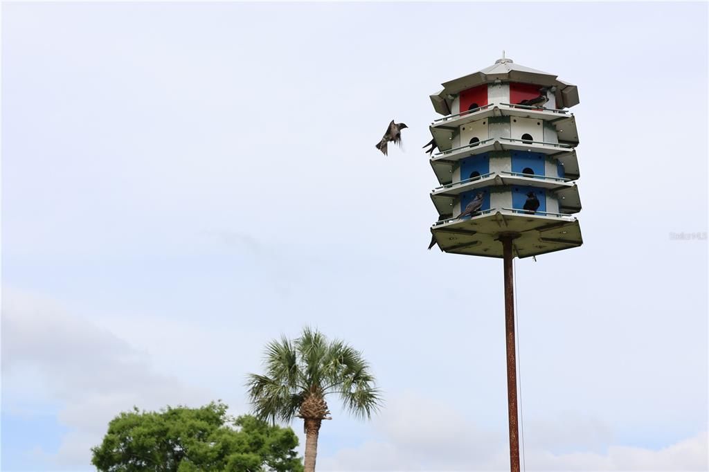 En Venta: $119,900 (2 camas, 2 baños, 1029 Pies cuadrados)