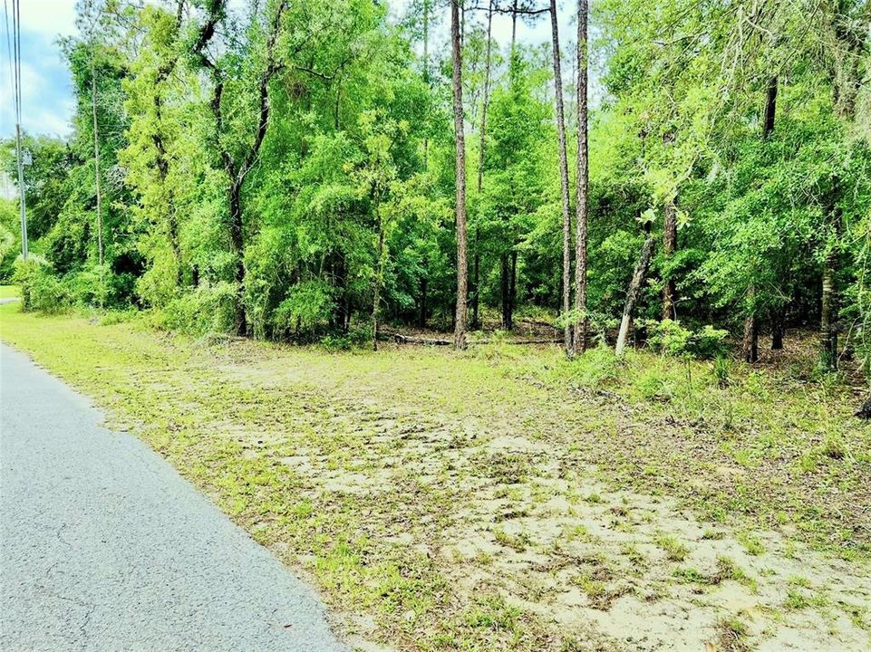 Available Now--Beautiful 1.26 Acres New Construction Build Site Located In "The Woodlands" of The Village of Rainbow Springs!
