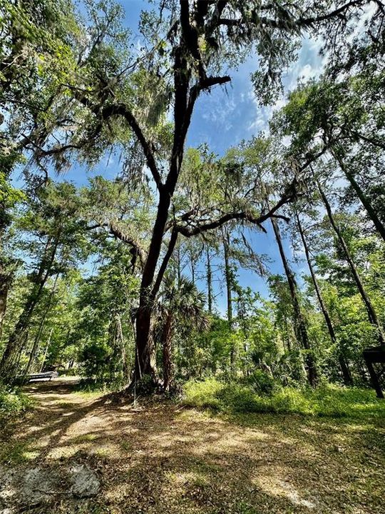 En Venta: $1,200,000 (0 camas, 0 baños, 3770 Pies cuadrados)