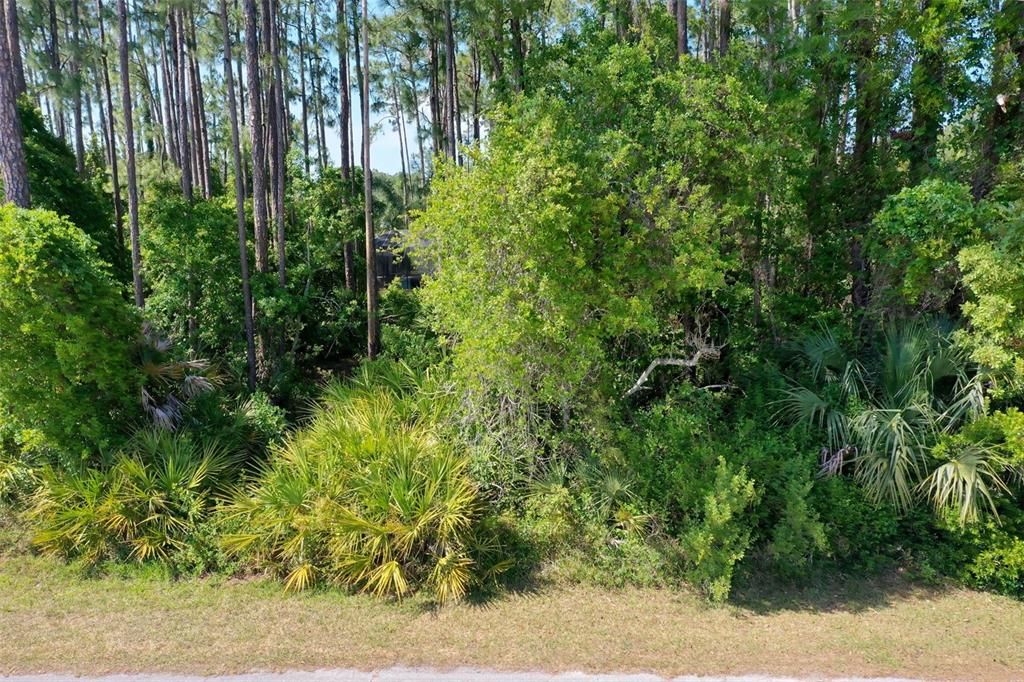 For Sale: $125,000 (0.35 acres)