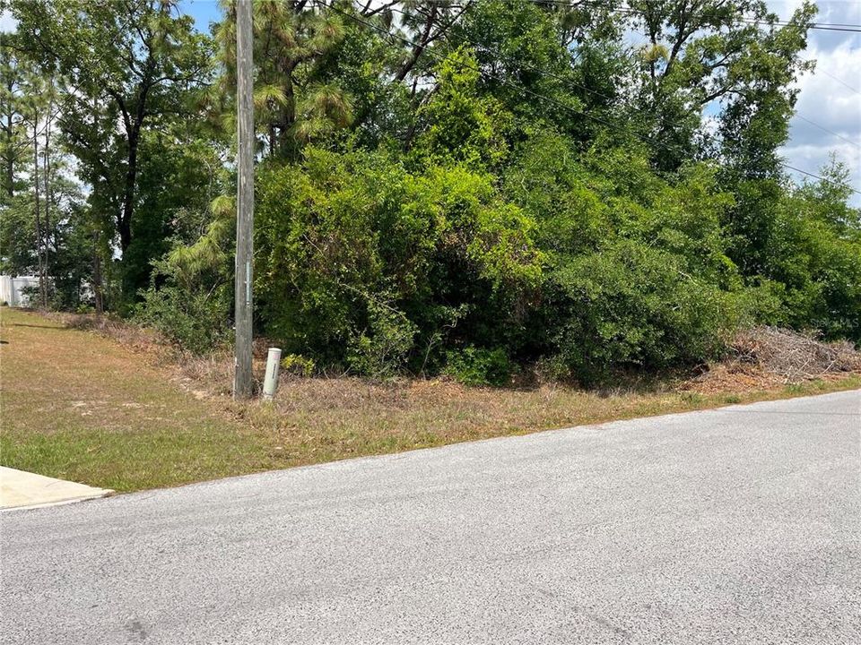 待售: $79,000 (0.29 acres)