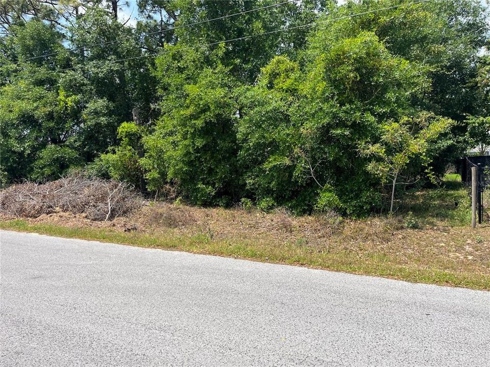 待售: $79,000 (0.29 acres)