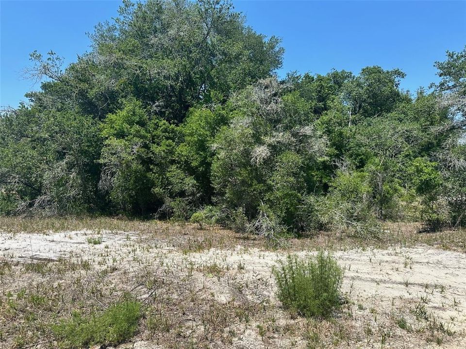 En Venta: $14,500 (0.31 acres)