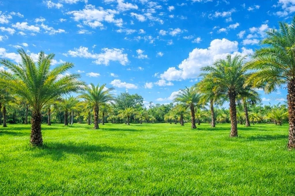 Под контрактом: $219,000 (2.50 acres)