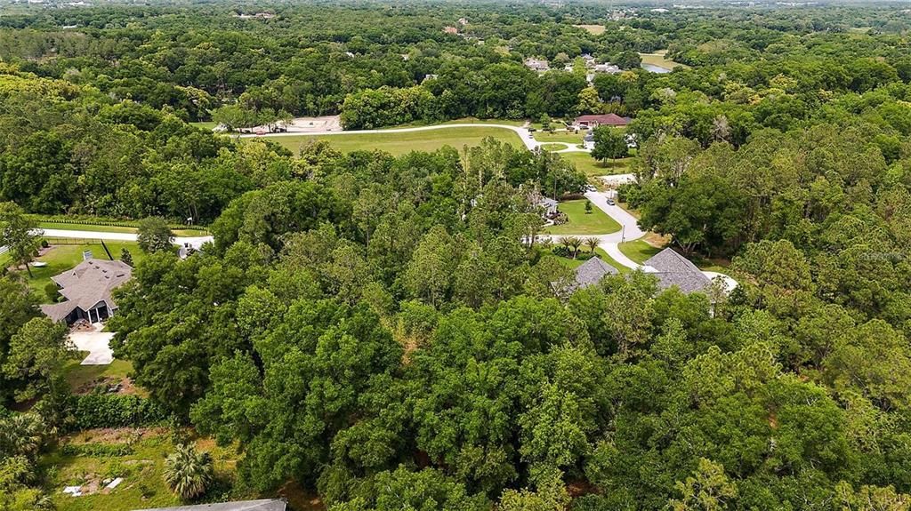 Active With Contract: $225,000 (1.01 acres)