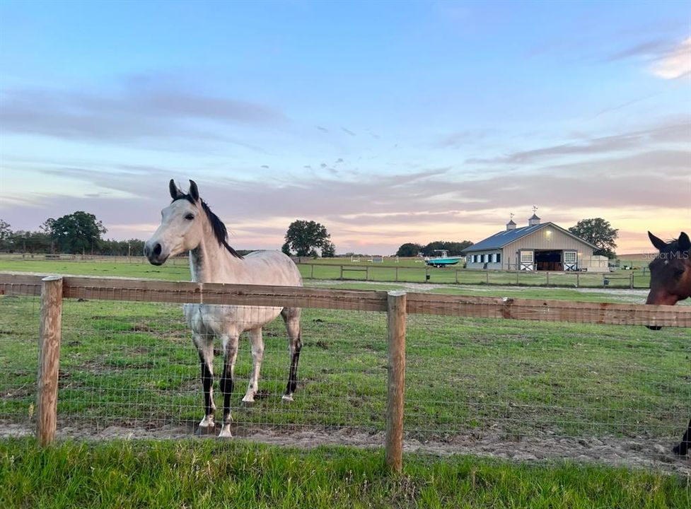 出租: $3,000 (0 贝兹, 0 浴室, 0 平方英尺)