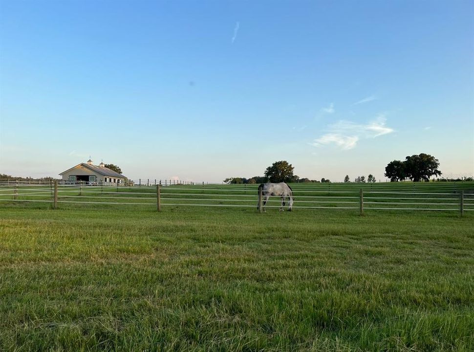 出租: $3,000 (0 贝兹, 0 浴室, 0 平方英尺)