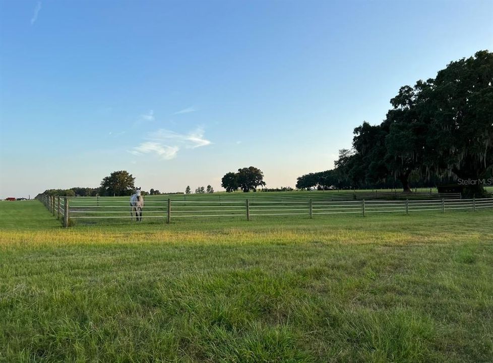 出租: $3,000 (0 贝兹, 0 浴室, 0 平方英尺)