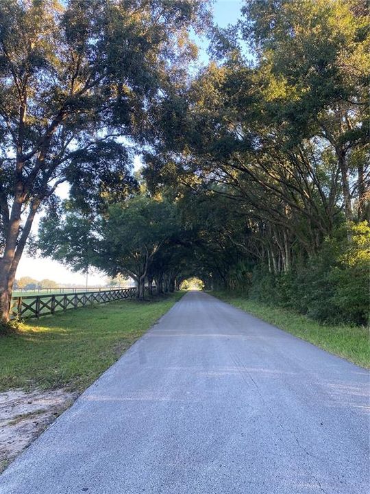 出租: $3,000 (0 贝兹, 0 浴室, 0 平方英尺)