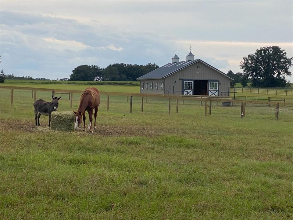 出租: $3,000 (0 贝兹, 0 浴室, 0 平方英尺)