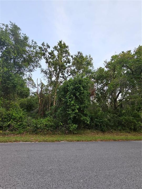 待售: $39,000 (0.27 acres)