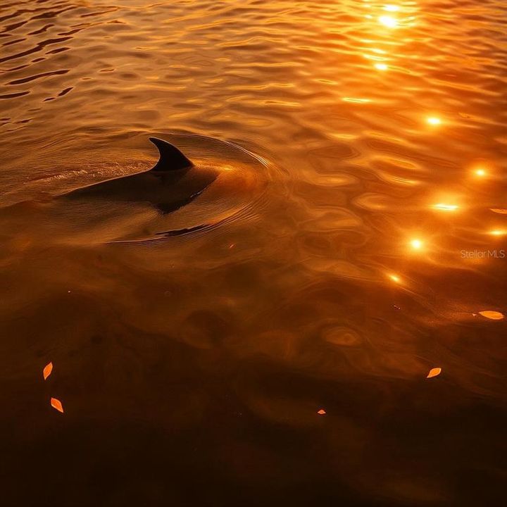 待售: $175,000 (没有数据)