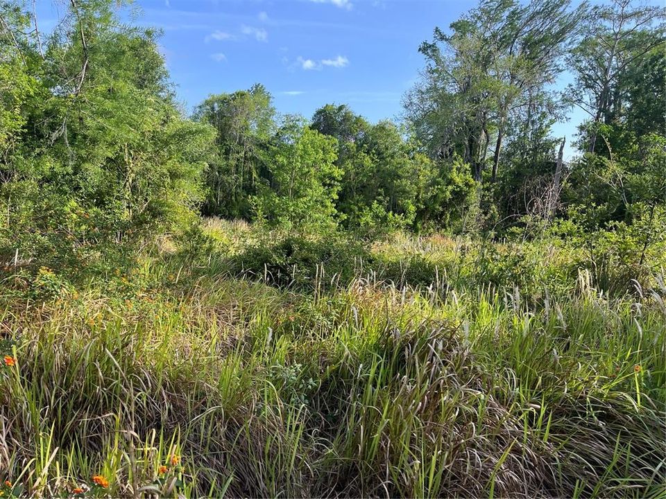 Activo con contrato: $279,000 (1.88 acres)