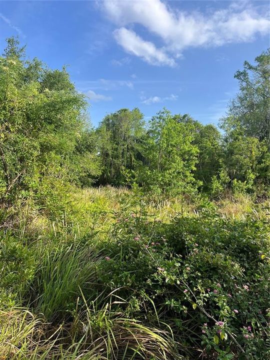 Activo con contrato: $279,000 (1.88 acres)