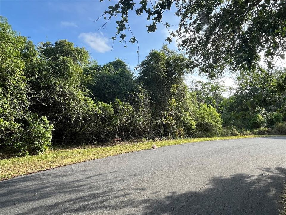 Activo con contrato: $279,000 (1.88 acres)