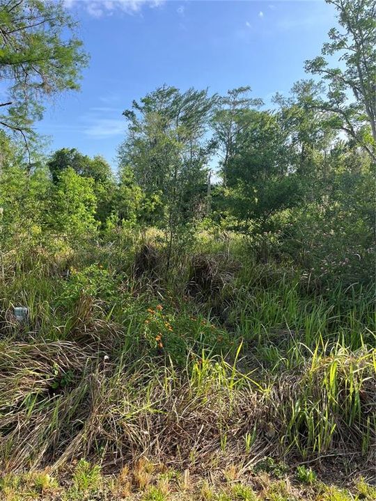 Activo con contrato: $279,000 (1.88 acres)