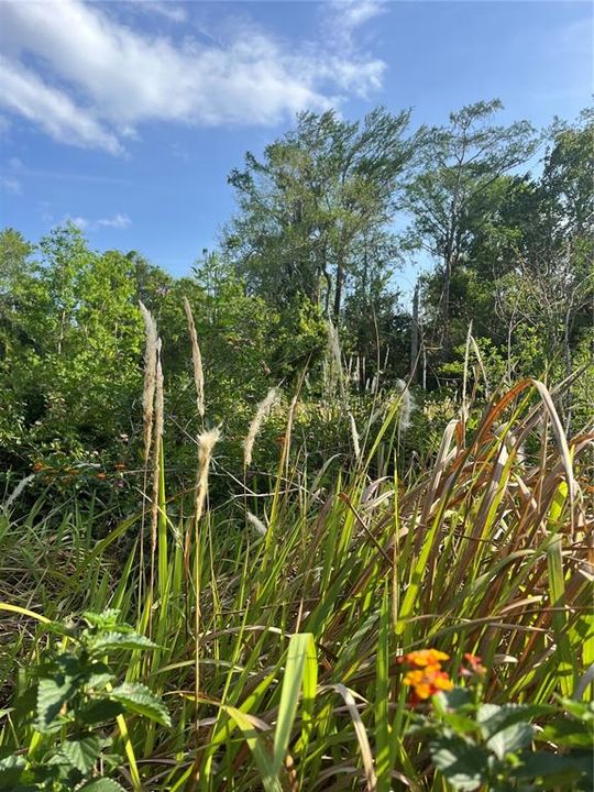 Activo con contrato: $279,000 (1.88 acres)