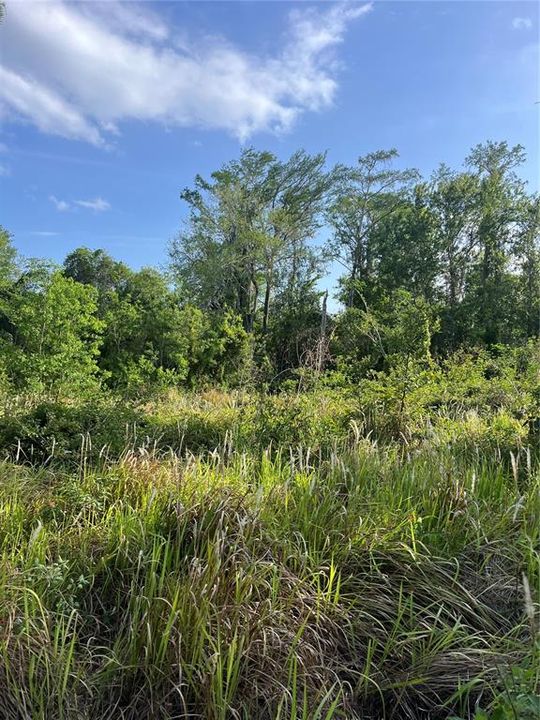 Activo con contrato: $279,000 (1.88 acres)