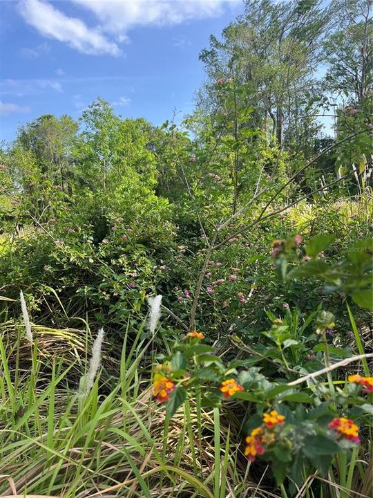 Activo con contrato: $279,000 (1.88 acres)