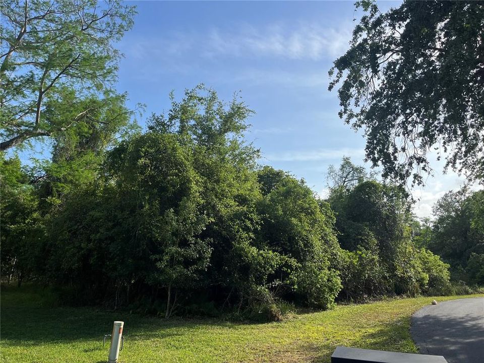 Activo con contrato: $279,000 (1.88 acres)