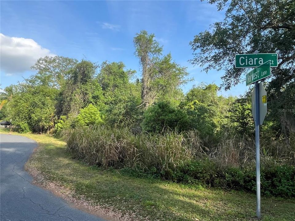 Activo con contrato: $279,000 (1.88 acres)