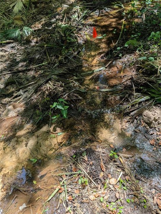 For Sale: $259,000 (10.00 acres)