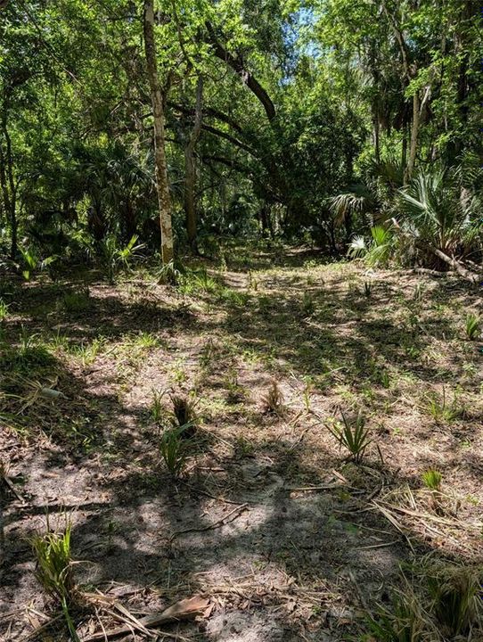 For Sale: $259,000 (10.00 acres)