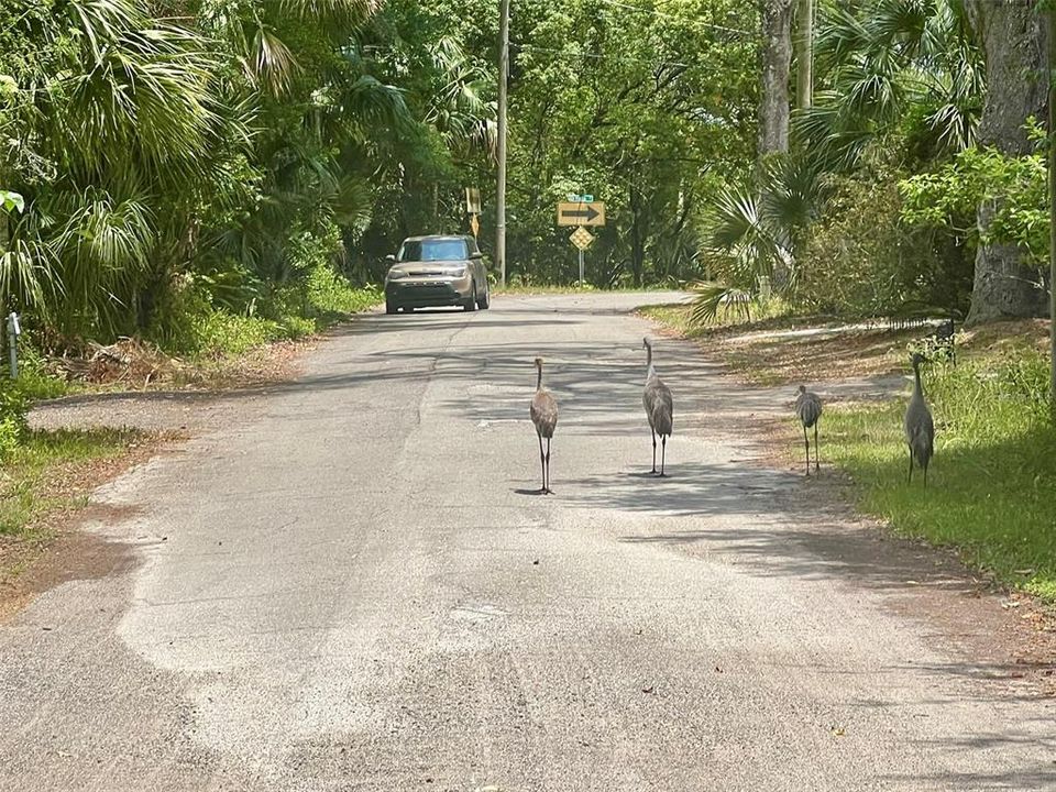 На продажу: $159,900 (0.59 acres)
