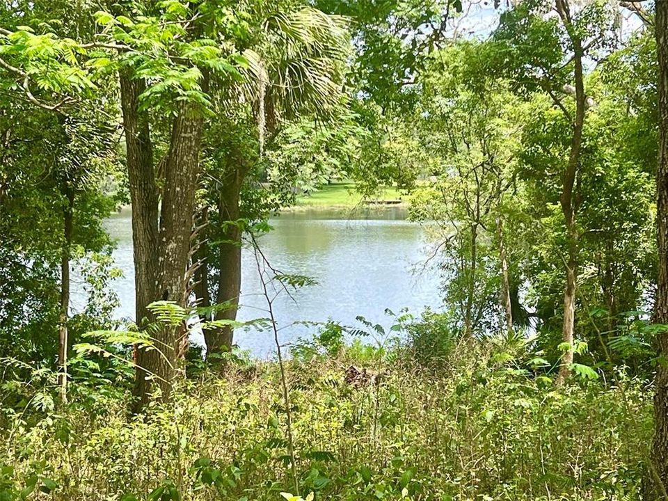 На продажу: $159,900 (0.59 acres)