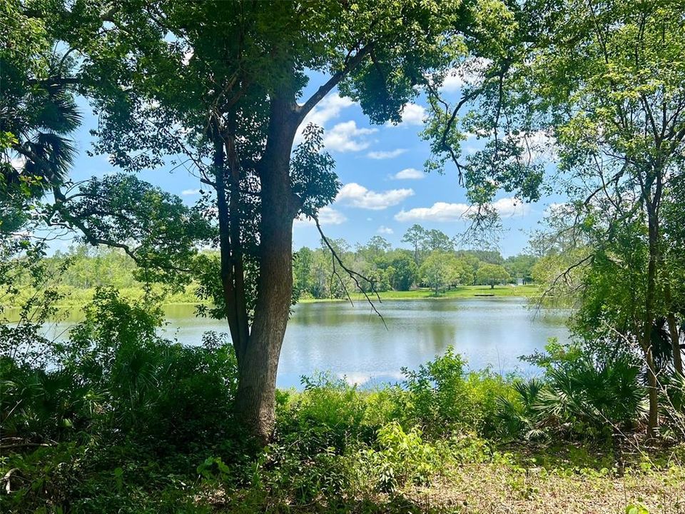 На продажу: $159,900 (0.59 acres)