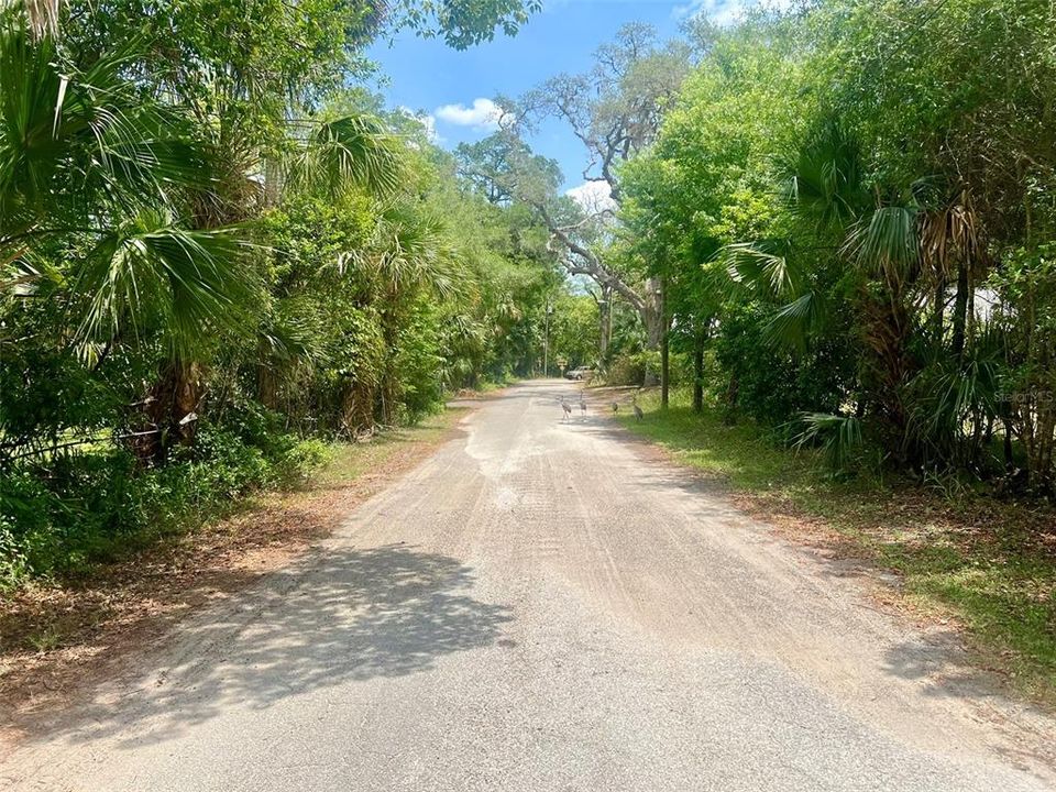 На продажу: $159,900 (0.59 acres)