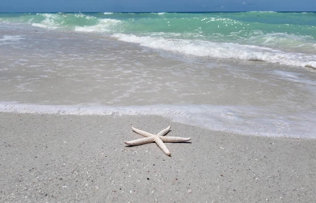 For Sale: $3,900,000 (6 beds, 5 baths, 3719 Square Feet)