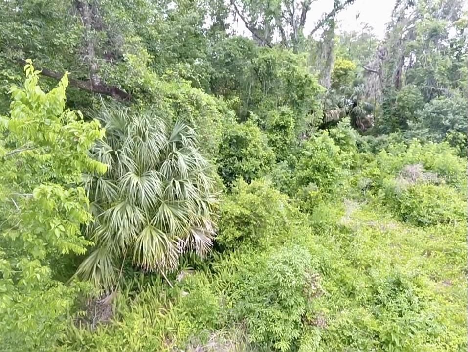 合同活跃: $35,000 (0.17 acres)