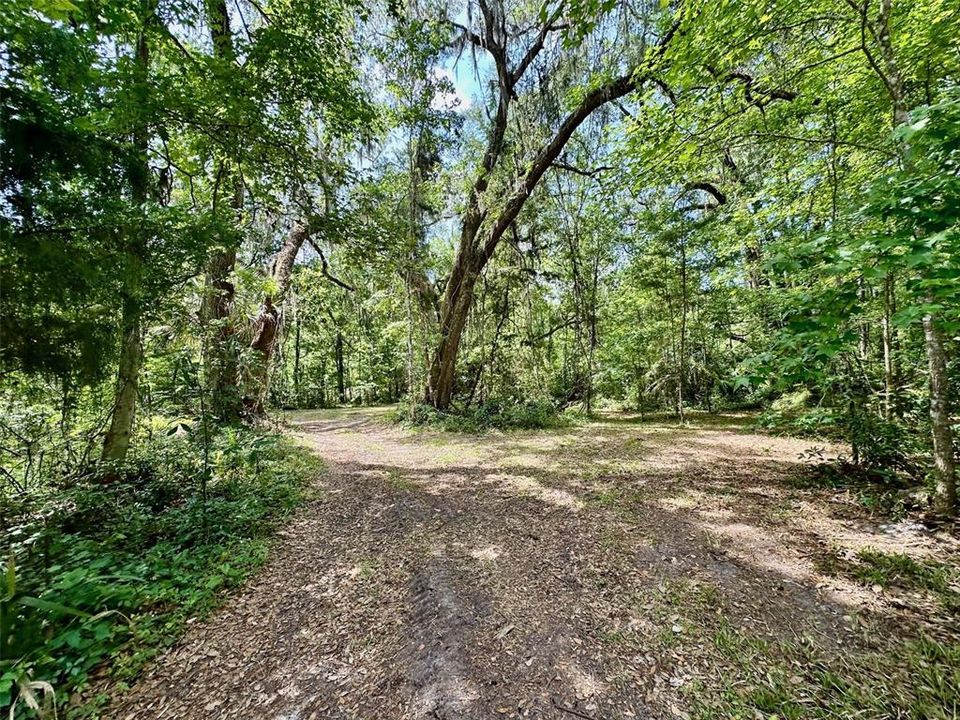 En Venta: $1,200,000 (17.50 acres)