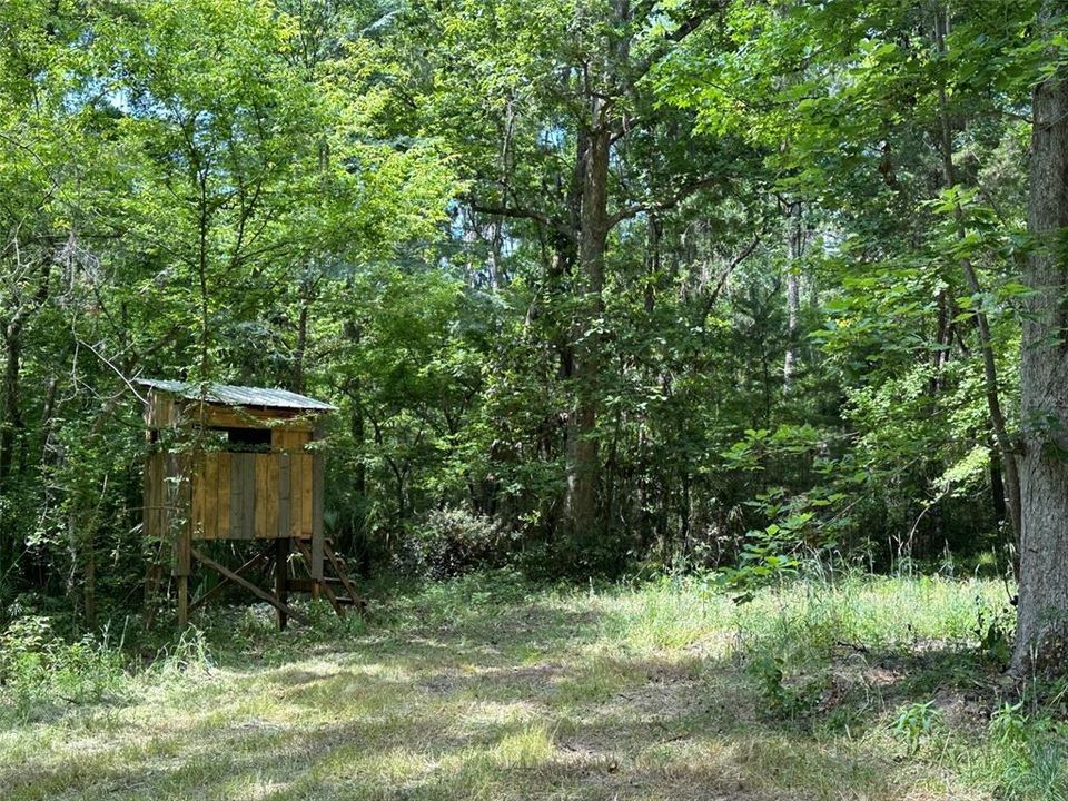 En Venta: $1,200,000 (17.50 acres)