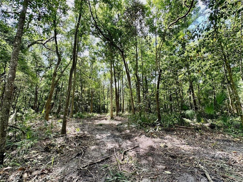 En Venta: $1,200,000 (17.50 acres)