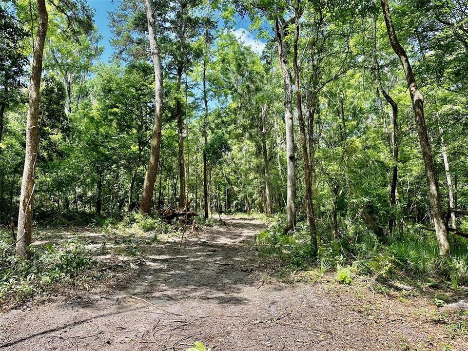 En Venta: $1,200,000 (17.50 acres)