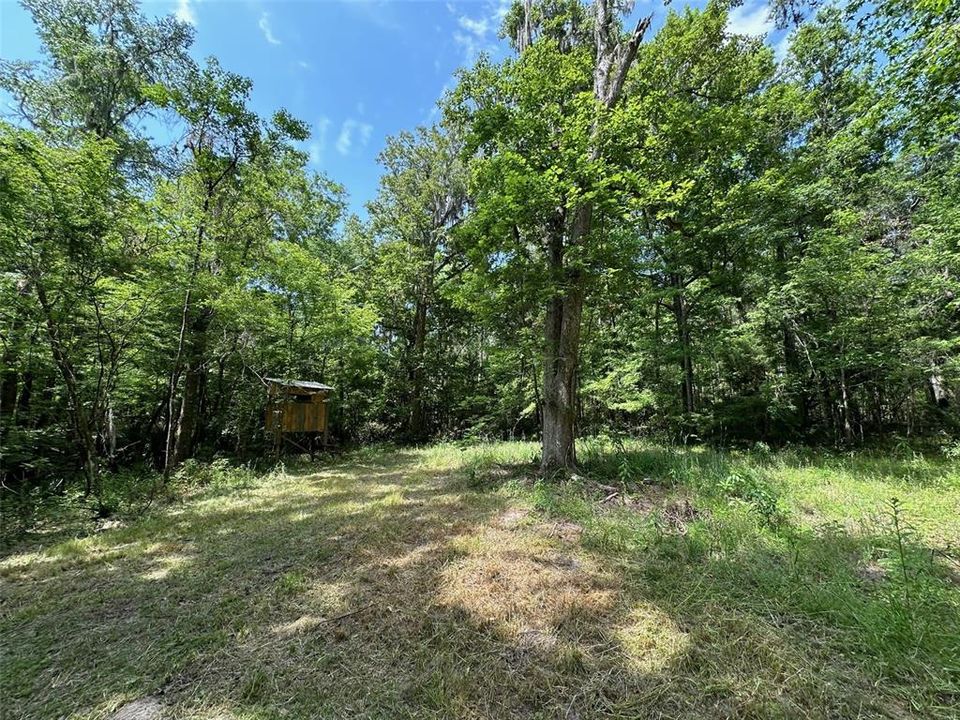 En Venta: $1,200,000 (17.50 acres)