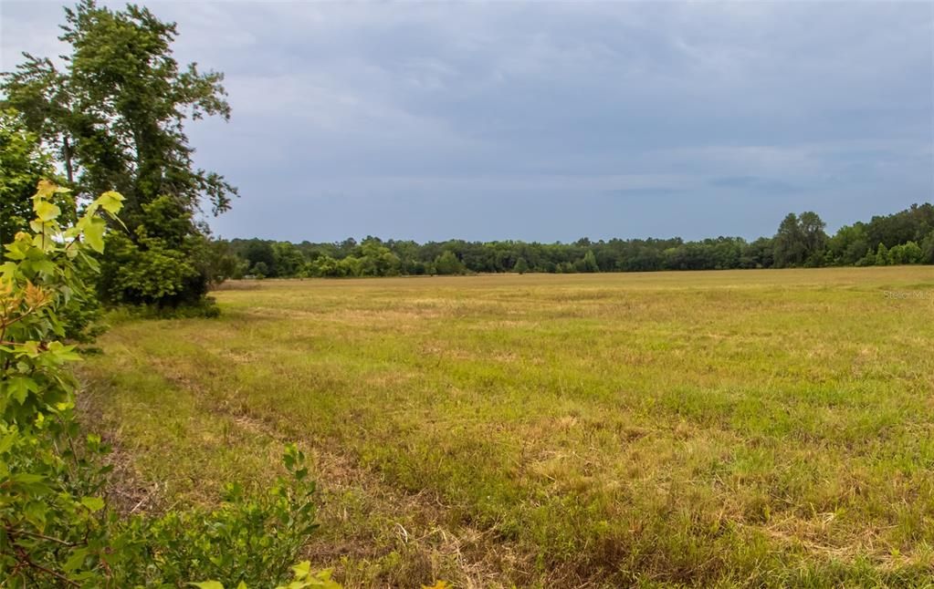 待售: $800,000 (52.95 acres)