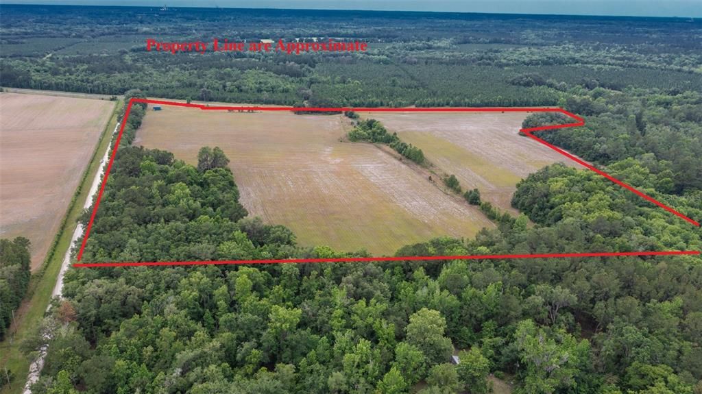 待售: $800,000 (52.95 acres)