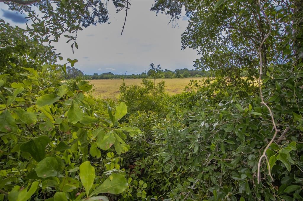 待售: $800,000 (52.95 acres)