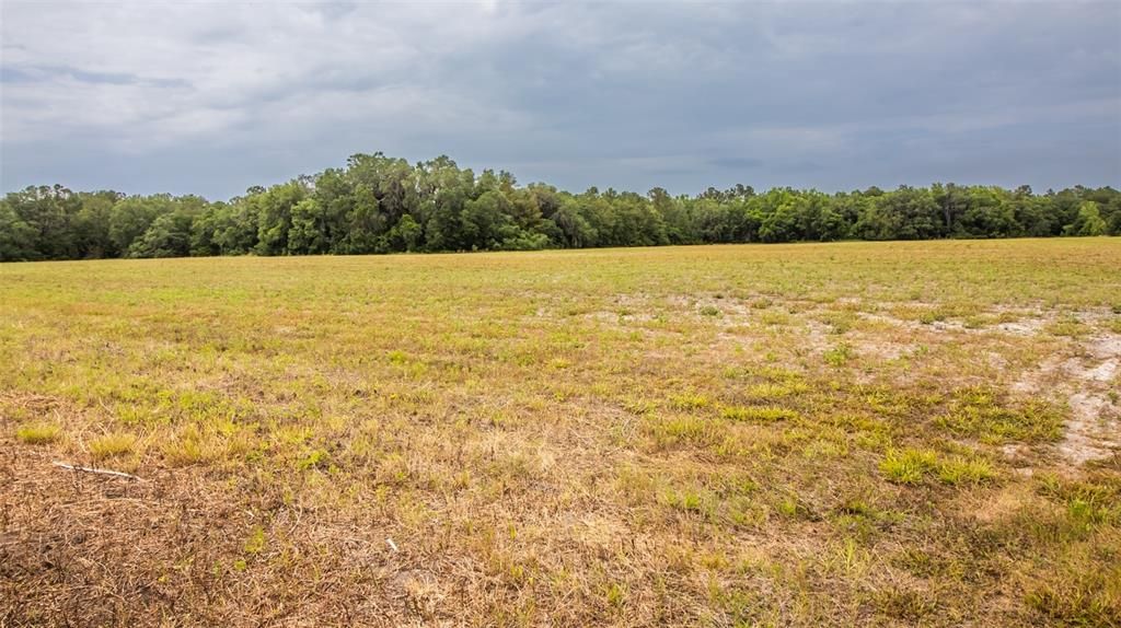 待售: $800,000 (52.95 acres)