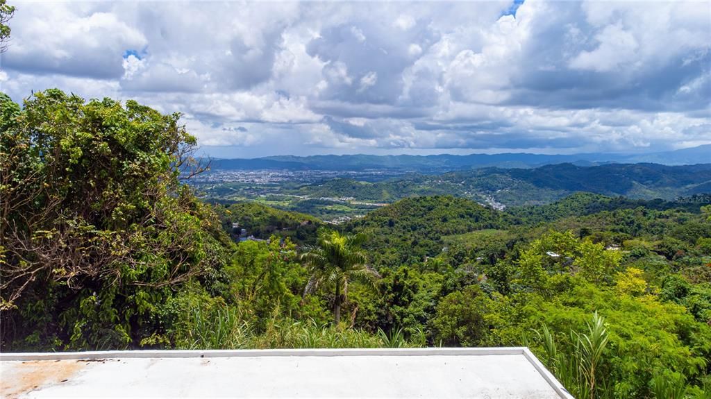 На продажу: $229,995 (3 спален, 1 ванн, 859 Квадратных фут)