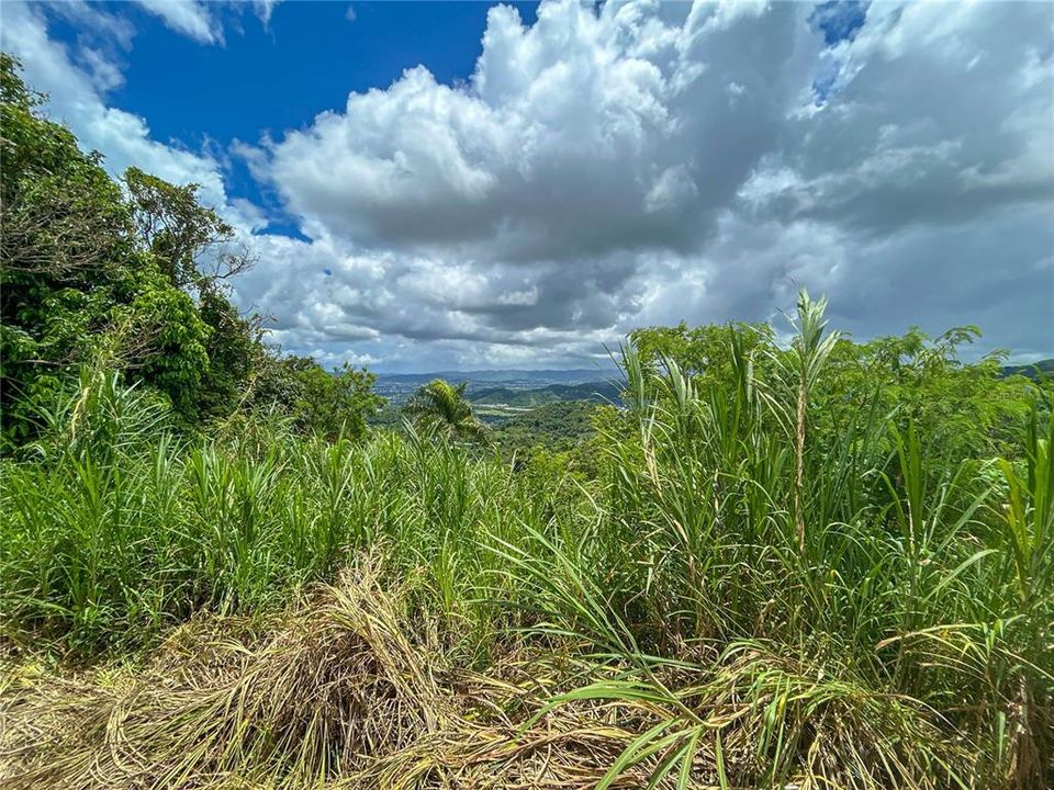 На продажу: $229,995 (3 спален, 1 ванн, 859 Квадратных фут)