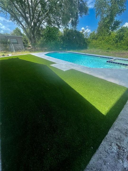New turf